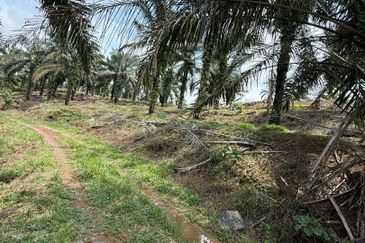Yong Peng 21.6 Acres Land