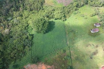 Kota Tinggi 1.875 Acres Land