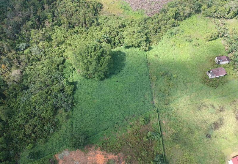 Kota Tinggi 1.875 Acres Land