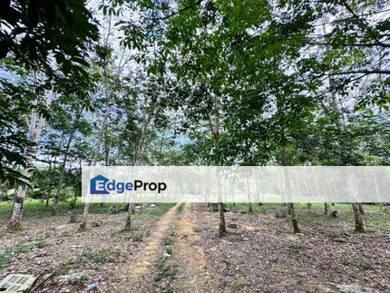 Desa Cemerlang Land, Johor, Ulu Tiram