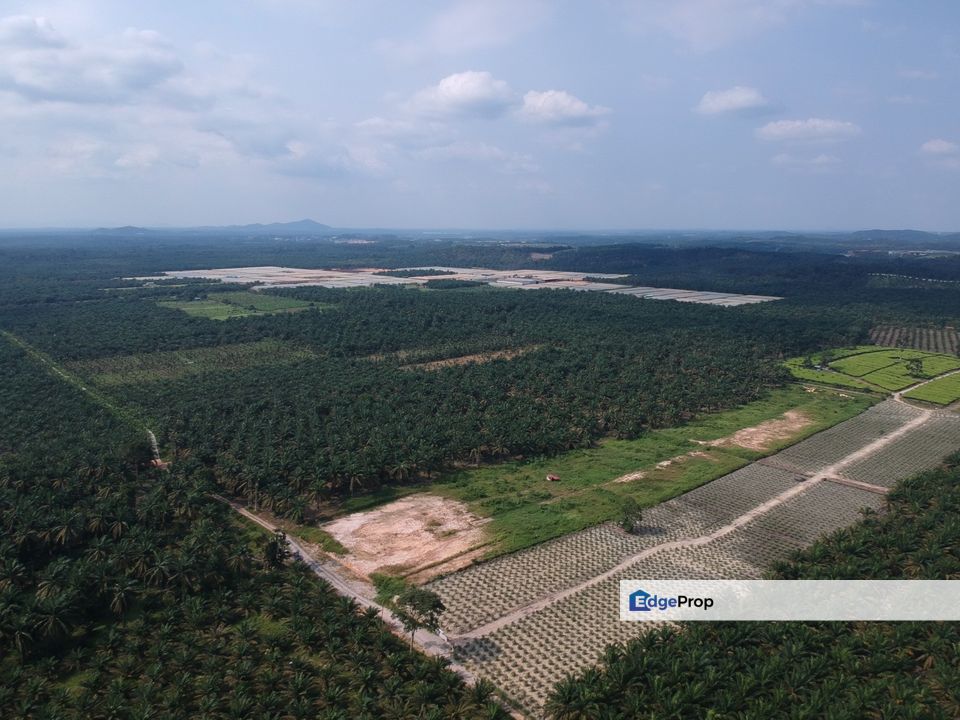 Simpang Renggam Machap 25.5 Acres Land, Johor, Simpang Renggam