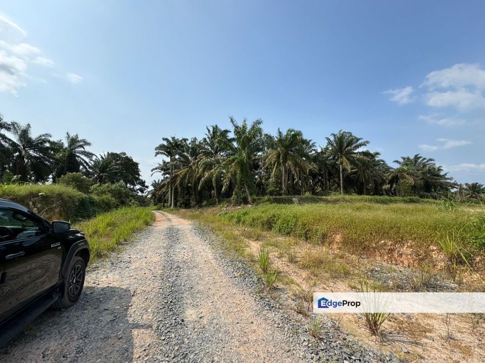 Simpang Renggam Machap 25.5 Acres Land, Johor, Simpang Renggam