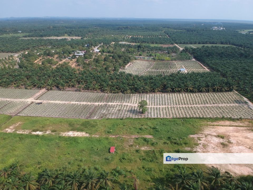 Simpang Renggam Machap 25.5 Acres Land, Johor, Simpang Renggam