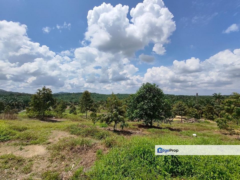 Yong Peng 6.89 Acres Land, Johor, Ayer Hitam