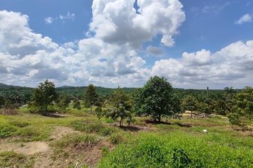 Yong Peng 6.89 Acres Land