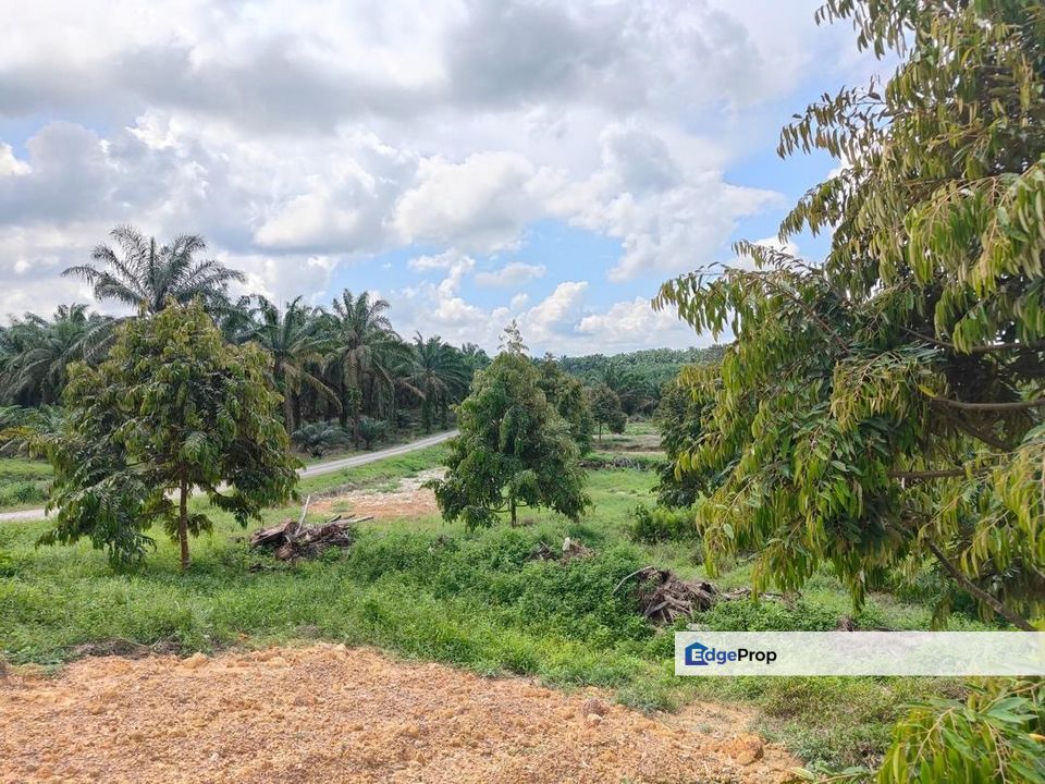 Yong Peng 6.89 Acres Land, Johor, Ayer Hitam