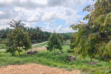 Yong Peng 6.89 Acres Land