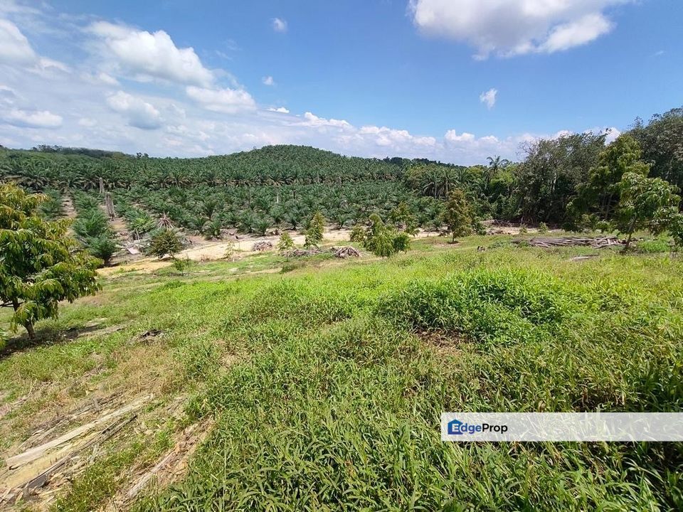 Yong Peng 6.89 Acres Land, Johor, Ayer Hitam