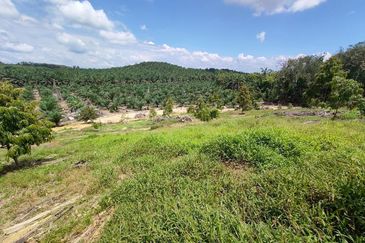 Yong Peng 6.89 Acres Land