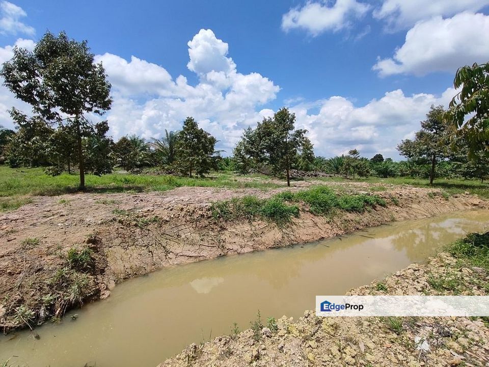 Yong Peng 6.89 Acres Land, Johor, Ayer Hitam