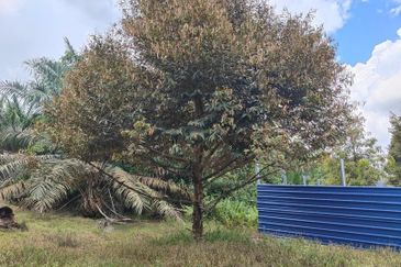 Yong Peng 5.7 Acres Land