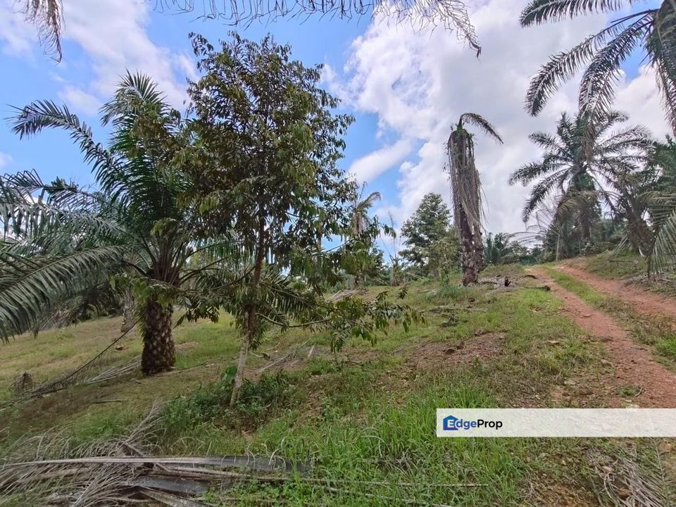 Yong Peng 5.7 Acres Land, Johor, Ayer Hitam