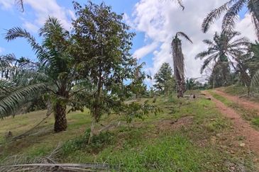 Yong Peng 5.7 Acres Land