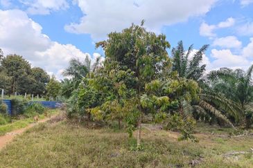 Yong Peng 5.7 Acres Land