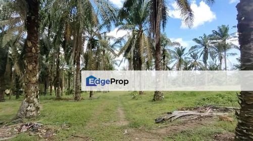 Simpang Renggam 15 Acres Land, Johor, Simpang Renggam