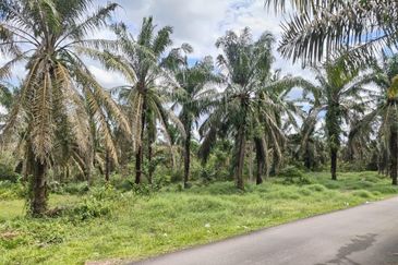 Simpang Renggam 15 Acres Land