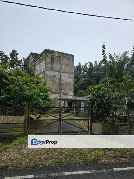 Kota Tinggi 5 Acres Land, Johor, Kota Tinggi