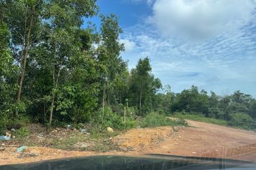 Simpang Renggam 16 Acres Land