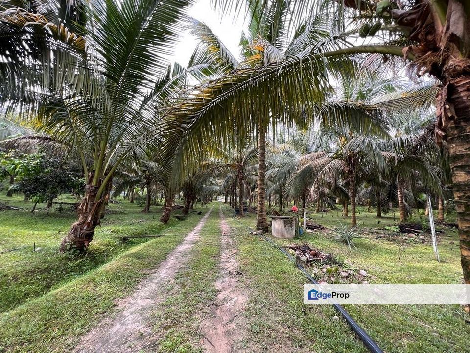 Kluang 7 Acres Land, Johor, Kluang