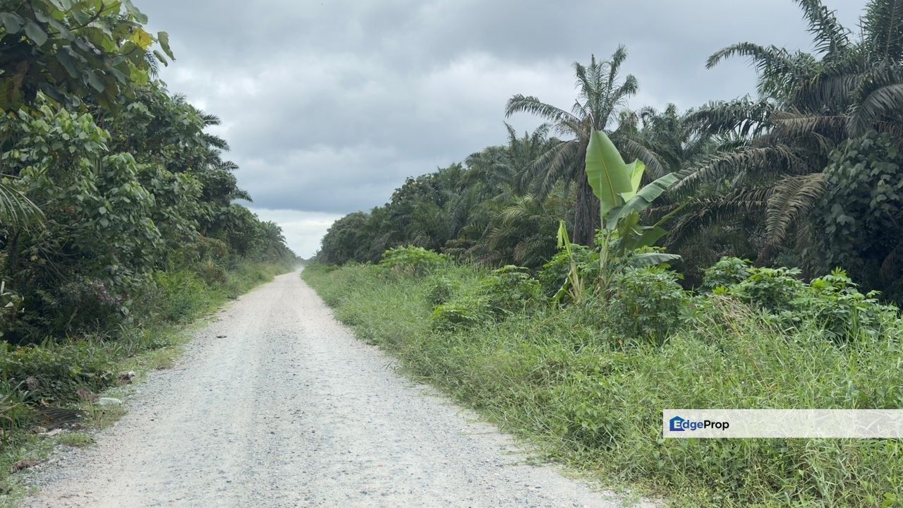 Pontian 8.39 Acres Land, Johor, Pontian