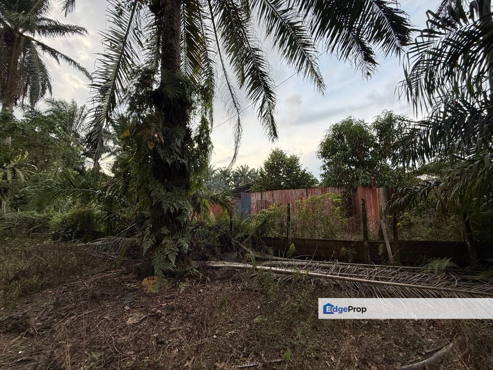 Pontian 5.913 Acres Land, Johor, Pontian