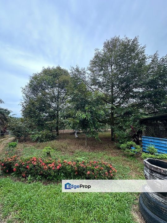 Sedenak 5 Acres Land, Johor, Kulai