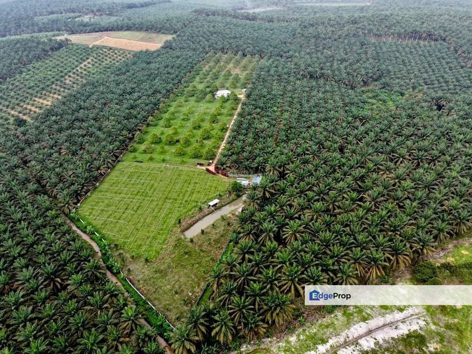 Sedenak 5 Acres Land, Johor, Kulai