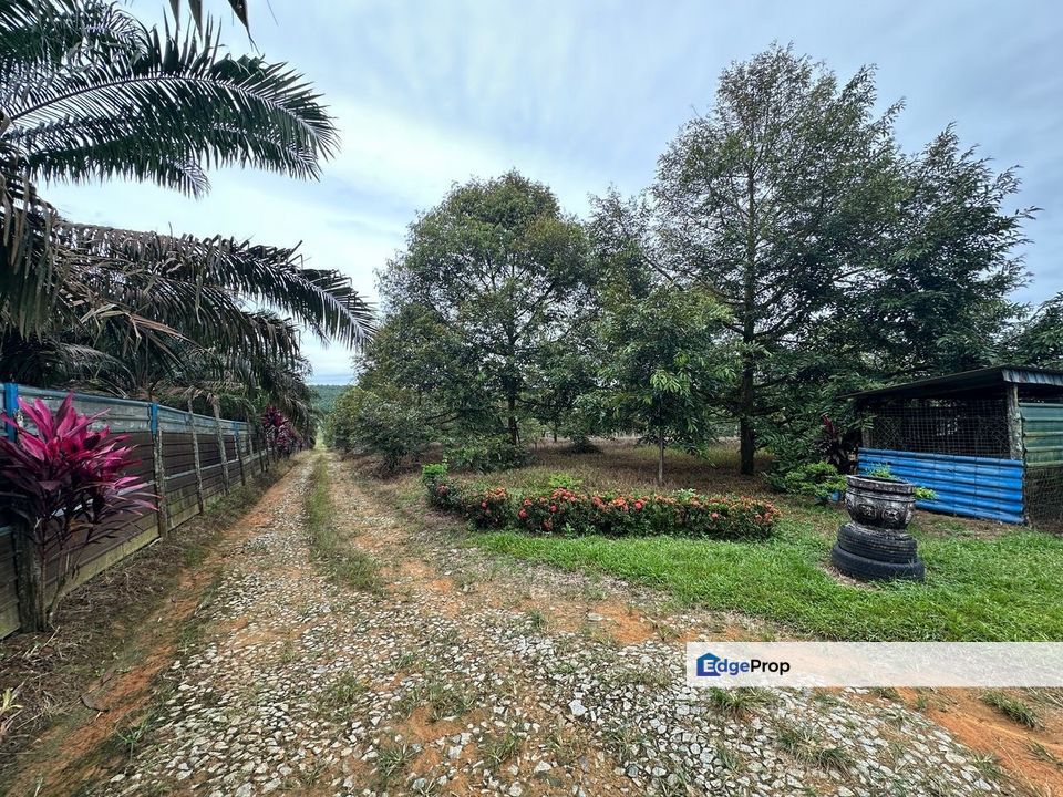 Sedenak 5 Acres Land, Johor, Kulai