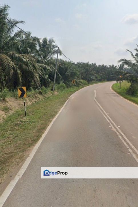 Yong Peng 4.2 Acres Land, Johor, Yong Peng