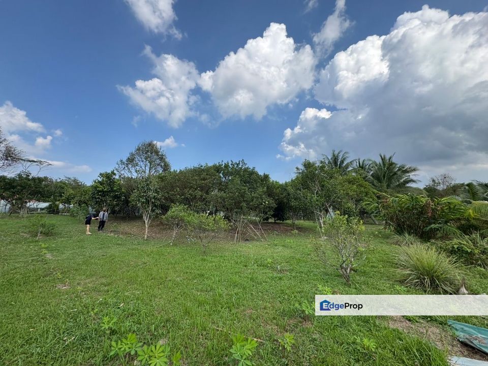 Kota Tinggi 1 Acre Land, Johor, Kota Tinggi