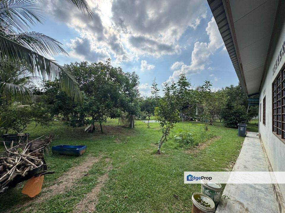 Kota Tinggi 1 Acre Land, Johor, Kota Tinggi