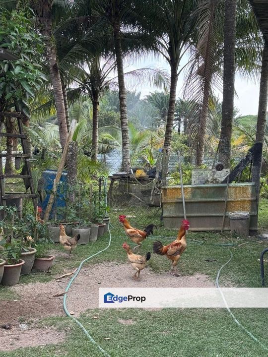 Kota Tinggi 1 Acre Land, Johor, Kota Tinggi