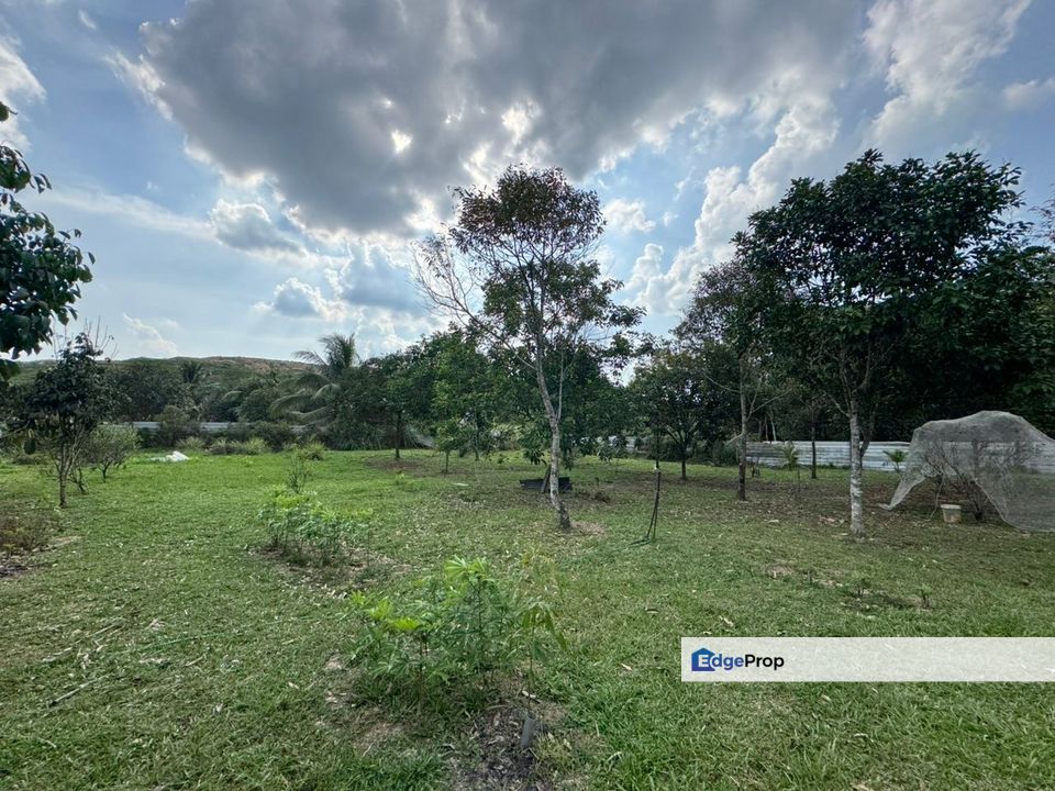 Kota Tinggi 1 Acre Land, Johor, Kota Tinggi