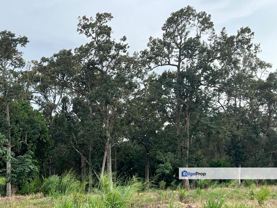 Machap 6 Acres Land, Melaka, Alor Gajah