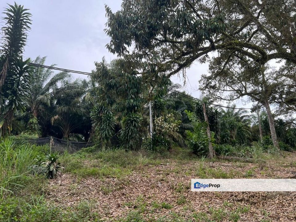 Machap 6 Acres Land, Melaka, Alor Gajah