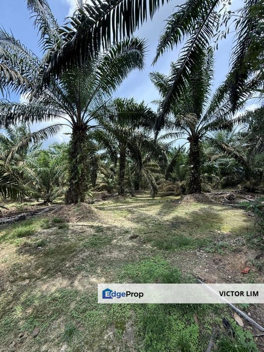 Machap To Ayer Hitam 8.5 Acres Land, Johor, Ayer Hitam