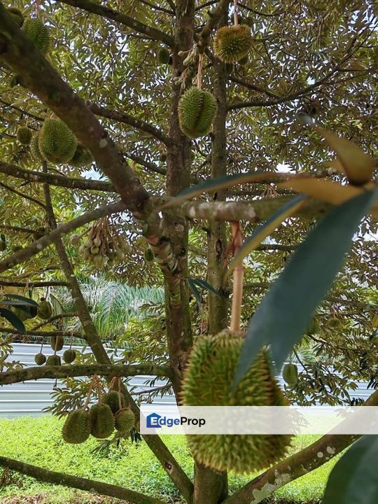 Yong Peng To Ayer Hitam 6.89 Acres Land, Johor, Yong Peng