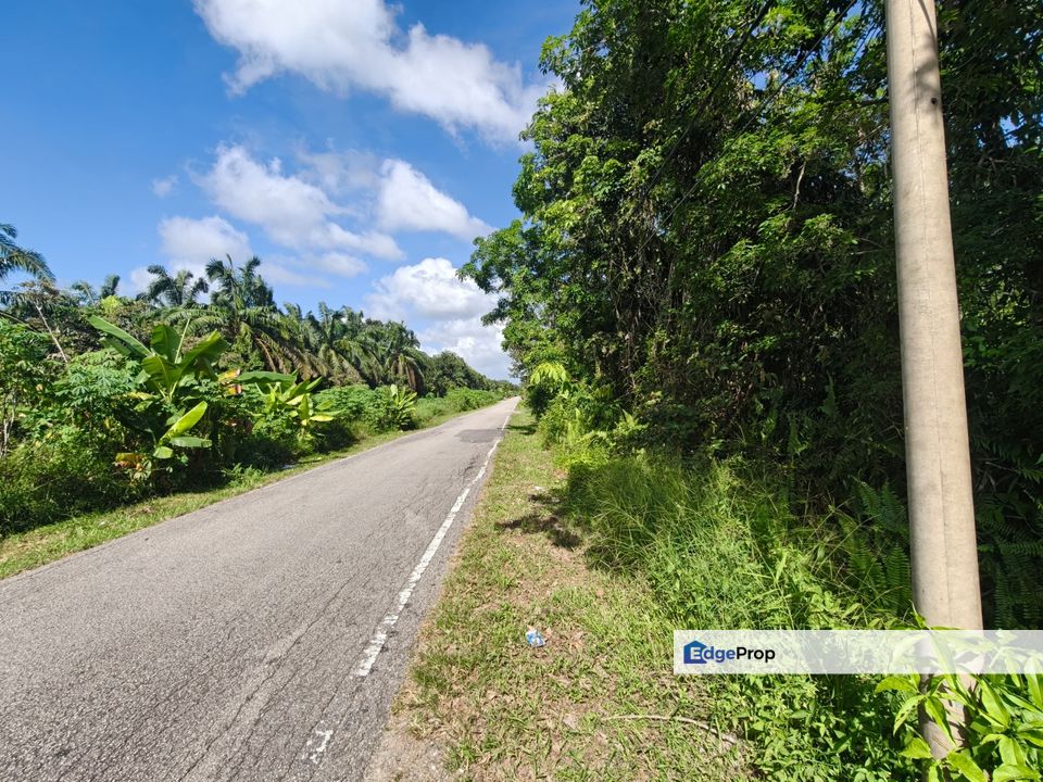 Pontian 3.39 Acres Land, Johor, Pontian