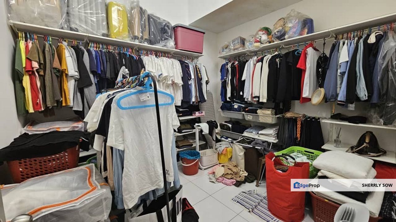 Dictyo Alba @ Setia Tropika, Johor, Setia Tropika