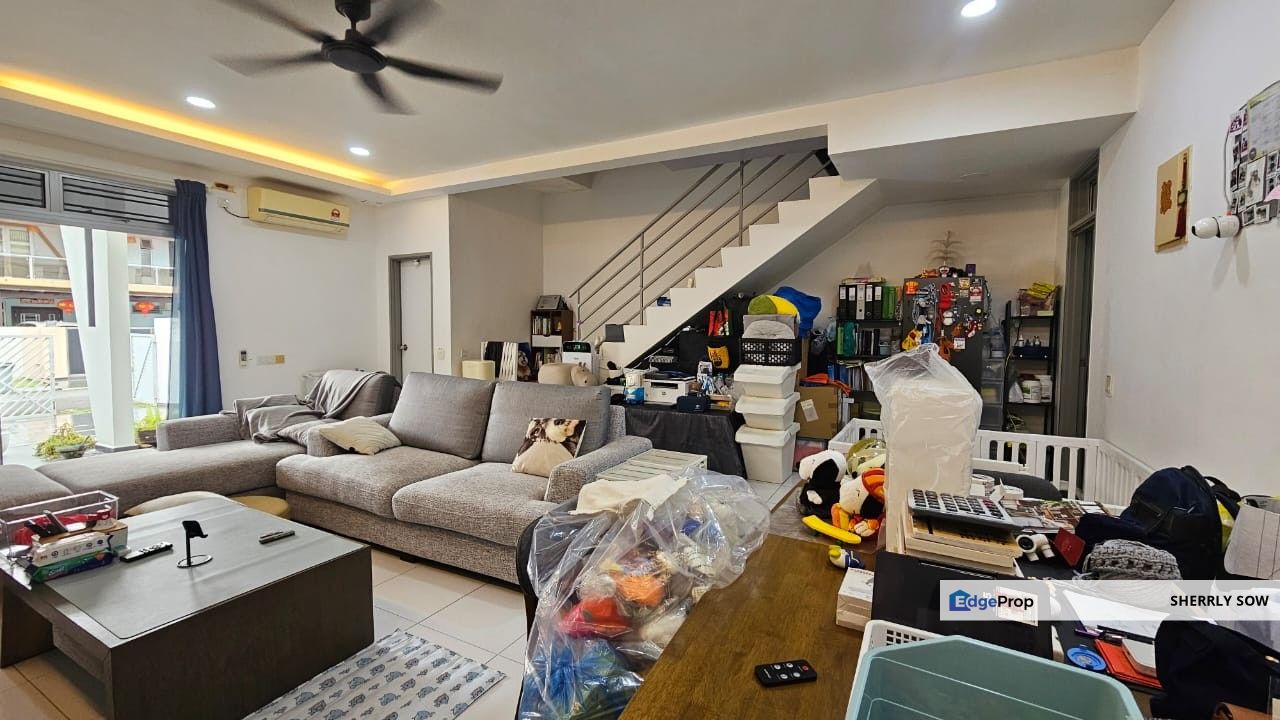 Dictyo Alba @ Setia Tropika, Johor, Setia Tropika