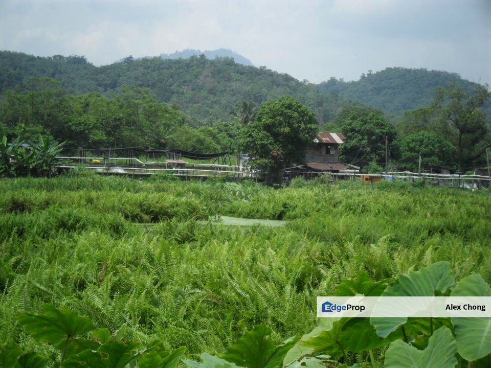 FOR SALE* ULU YAM BHARU JLN KAMPONG KELONG SELANGOR .agricultural land, Selangor, Batang Kali