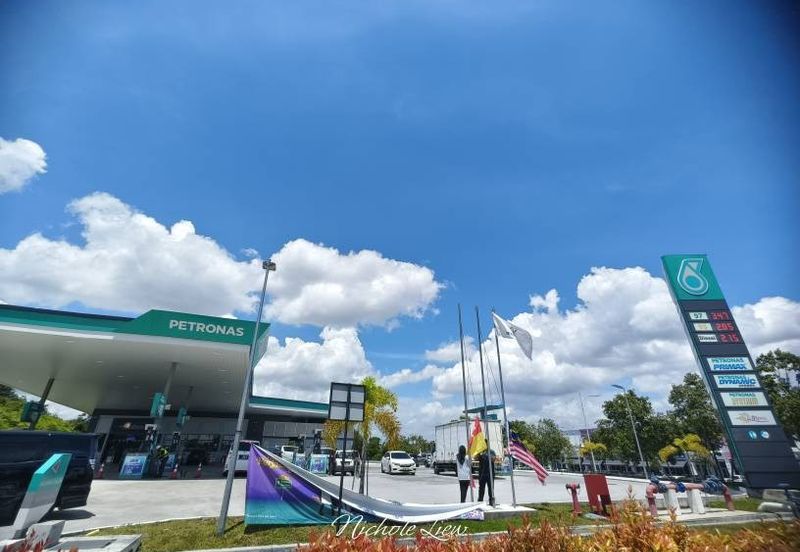 Mellowood @ Eco Majestic