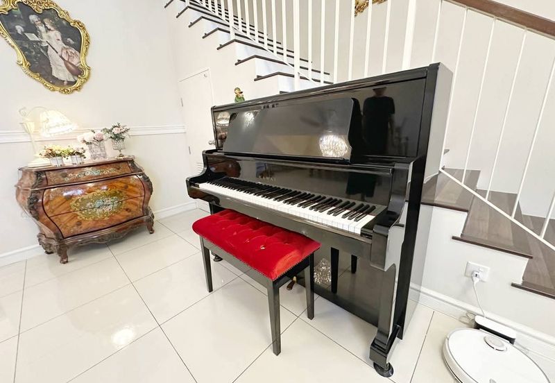 Ebonylane @ Eco Forest