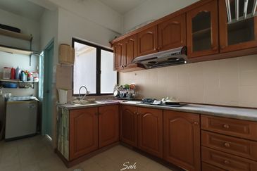 Evergreen Park Cypress