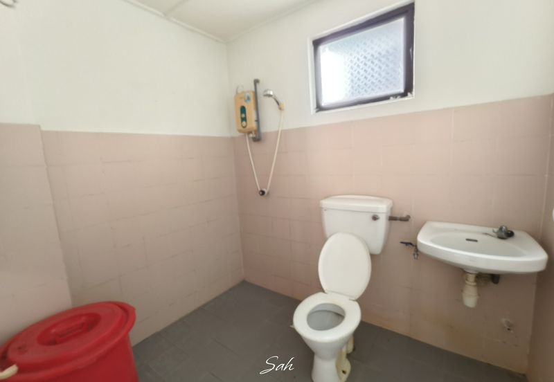 Evergreen Park Cypress