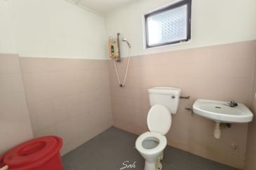 Evergreen Park Cypress