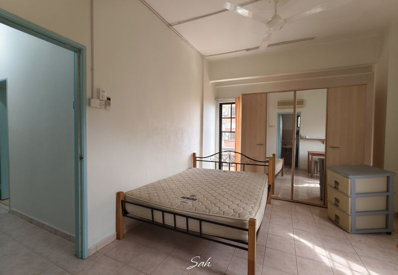 Evergreen Park Cypress