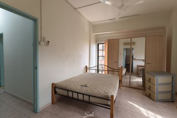 Evergreen Park Cypress