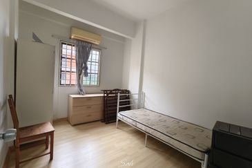 Evergreen Park Cypress