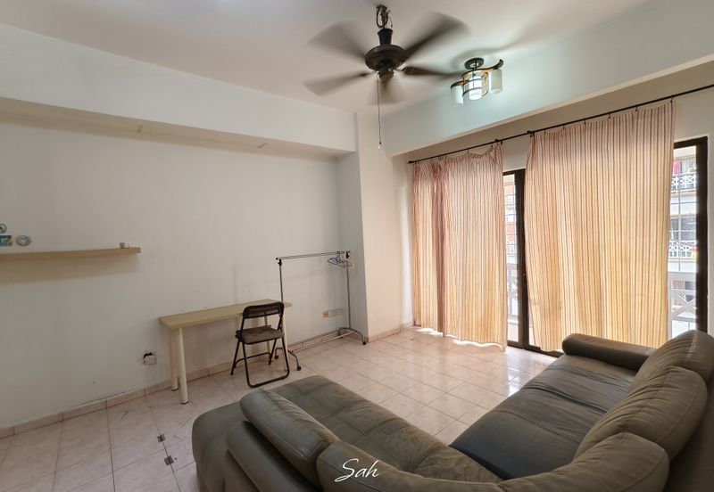 Evergreen Park Cypress